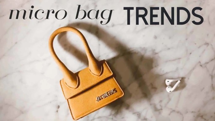 Micro Bags – Celebrity Approved 2019 Latest Accessory Trend!