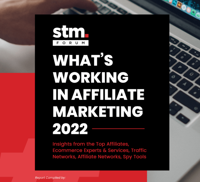 STM Forum – Whats working in Affiliate Marketing 2018-2023年报告合集！ – 小爱卖家